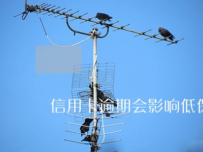 信用卡逾期会影响低保么 信用卡逾期会影响低保么