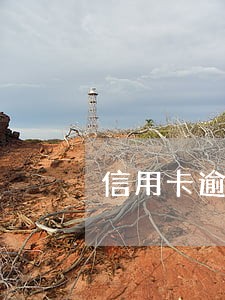 信用卡逾期会影响住公租房吗 信用卡逾期会影响住公租房吗