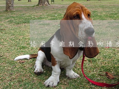 信用卡逾期会影响借呗开通吗 信用卡逾期会影响借呗开通吗