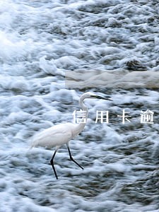 信用卡逾期会影响公务员吗