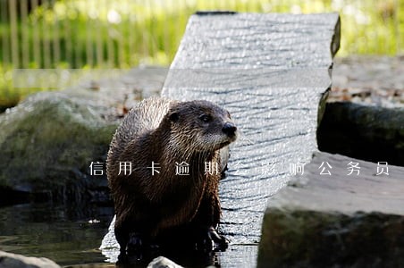 信用卡逾期会影响公务员报考吗 信用卡逾期会影响公务员报考吗