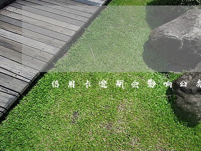 信用卡逾期会影响公务员招录吗