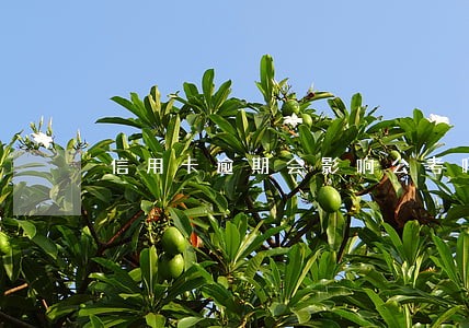 信用卡逾期会影响公考吗 信用卡逾期会影响公考吗