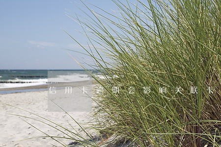 信用卡逾期会影响关联卡吗 信用卡逾期会影响关联卡吗