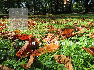 信用卡逾期会影响其他