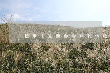 信用卡逾期会影响其他信用卡吗
