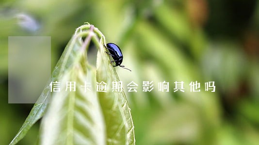 信用卡逾期会影响其他吗