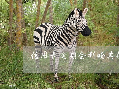 信用卡逾期会影响其他银行转贷吗 信用卡逾期会影响其他银行转贷吗