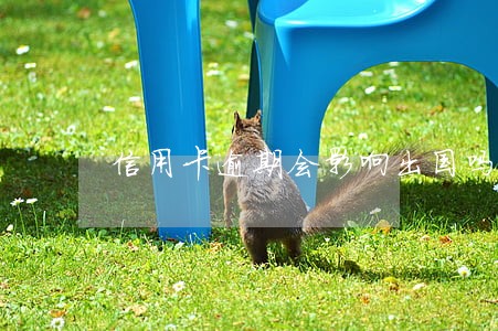 信用卡逾期会影响出国吗