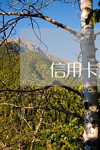 信用卡逾期会影响出国工作吗