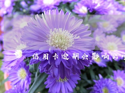 信用卡逾期会影响出境