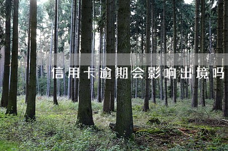信用卡逾期会影响出境吗 信用卡逾期会影响出境吗