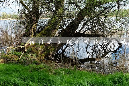 信用卡逾期会影响出行吗