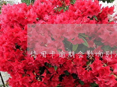 信用卡逾期会影响别人的房贷吗 信用卡逾期会影响别人的房贷吗