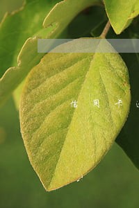 信用卡逾期会影响到子女吗 信用卡逾期会影响到子女吗