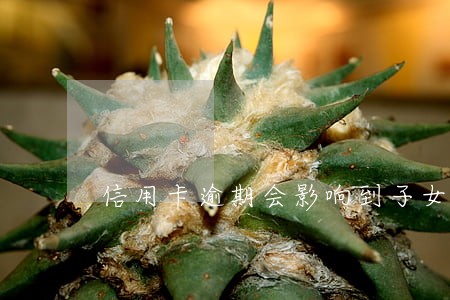 信用卡逾期会影响到子女的政审吗 信用卡逾期会影响到子女的政审吗