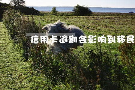 信用卡逾期会影响到移民嘛 信用卡逾期会影响到移民嘛