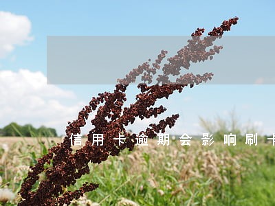 信用卡逾期会影响刷卡机吗 信用卡逾期会影响刷卡机吗