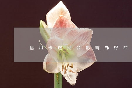 信用卡逾期会影响办好的房贷吗 信用卡逾期会影响办好的房贷吗