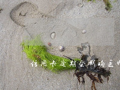 信用卡逾期会影响医师证么 信用卡逾期会影响医师证么
