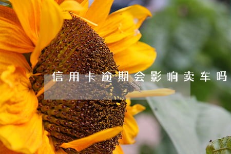 信用卡逾期会影响卖车吗