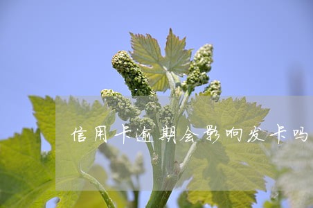 信用卡逾期会影响发卡吗 信用卡逾期会影响发卡吗