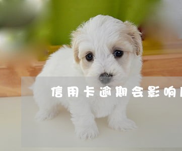 信用卡逾期会影响后代嘛