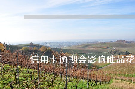 信用卡逾期会影响唯品花吗 信用卡逾期会影响唯品花吗