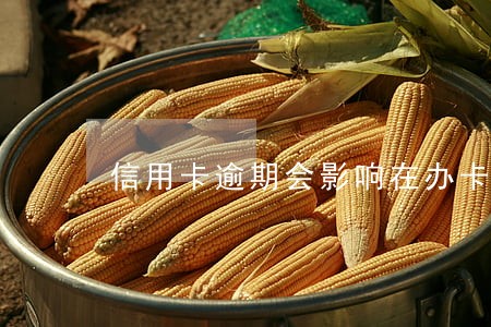 信用卡逾期会影响在办卡吗 信用卡逾期会影响在办卡吗