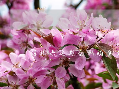 信用卡逾期会影响多久 信用卡逾期会影响多久