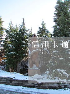信用卡逾期会影响妻子的信用卡吗
