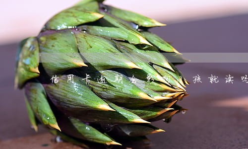 信用卡逾期会影响小孩就读吗 信用卡逾期会影响小孩就读吗