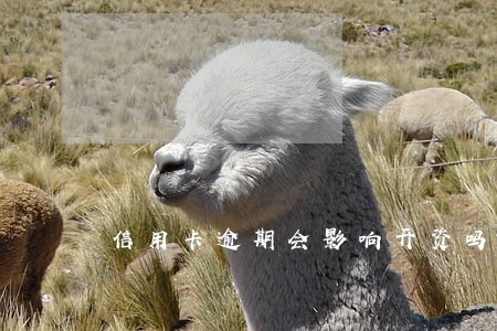 信用卡逾期会影响开资吗 信用卡逾期会影响开资吗