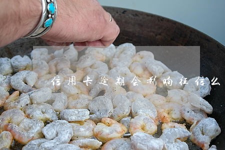 信用卡逾期会影响征信么 信用卡逾期会影响征信么