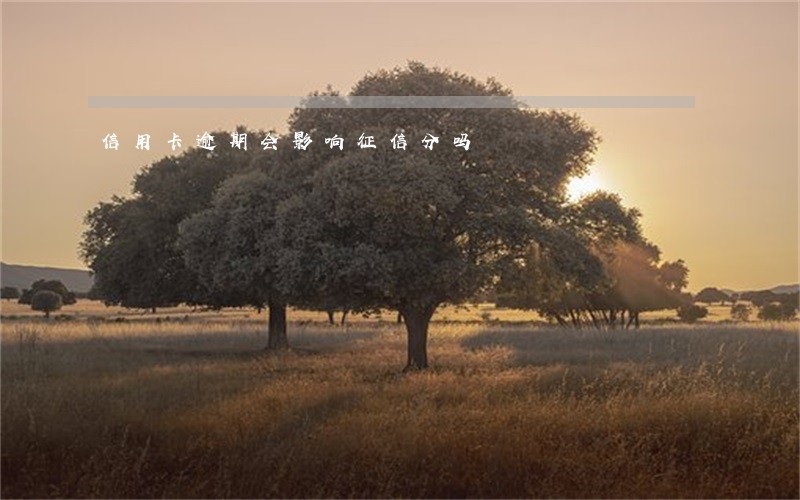 信用卡逾期会影响征信分吗 信用卡逾期会影响征信分吗