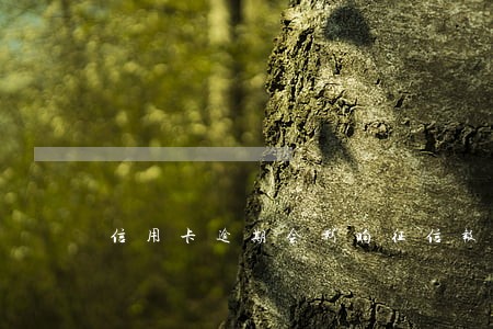 信用卡逾期会影响征信报告吗 信用卡逾期会影响征信报告吗