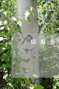 信用卡逾期会影响微信账户吗 信用卡逾期会影响微信账户吗