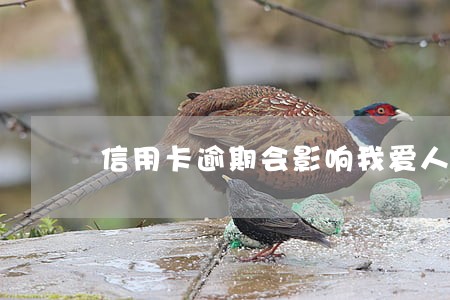 信用卡逾期会影响我爱人买车