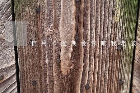 信用卡逾期会影响我老婆 信用卡逾期会影响我老婆