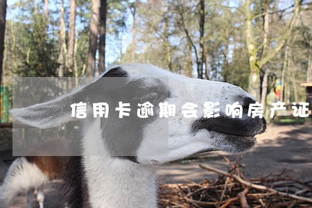 信用卡逾期会影响房产证
