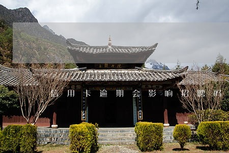 信用卡逾期会影响招聘吗 信用卡逾期会影响招聘吗