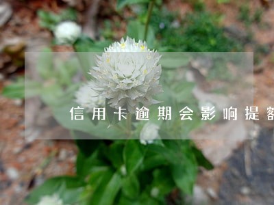 信用卡逾期会影响提额 信用卡逾期会影响提额