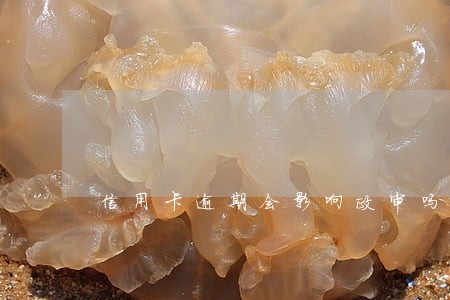 信用卡逾期会影响政审吗6 信用卡逾期会影响政审吗6