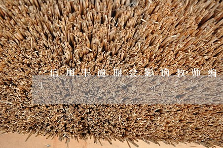 信用卡逾期会影响教师编制吗 信用卡逾期会影响教师编制吗