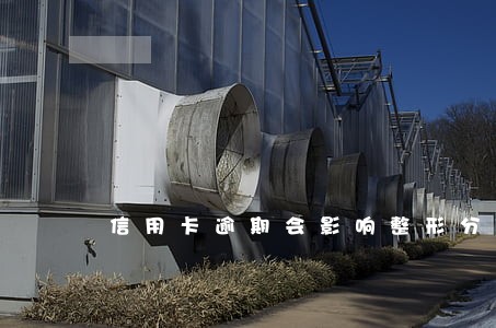 信用卡逾期会影响整形分期吗