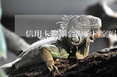 信用卡逾期会影响档案吗