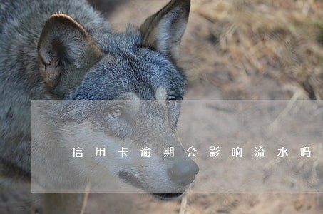 信用卡逾期会影响流水吗