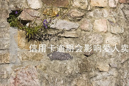 信用卡逾期会影响爱人卖房 信用卡逾期会影响爱人卖房