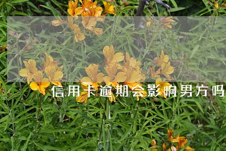 信用卡逾期会影响男方吗