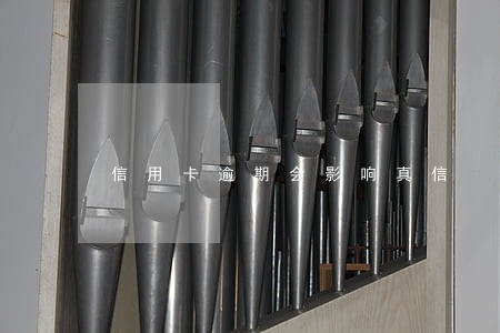 信用卡逾期会影响真信